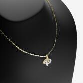 LA ZONE - COLLIER D&P